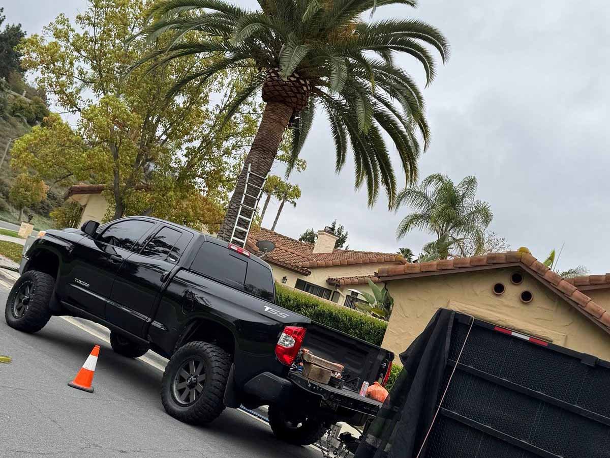 Quetzalito Tree Service